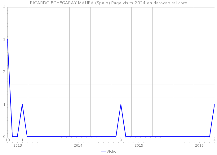 RICARDO ECHEGARAY MAURA (Spain) Page visits 2024 