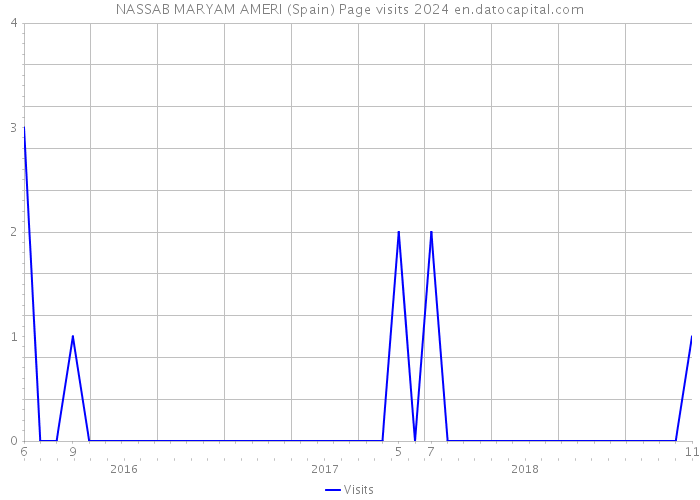 NASSAB MARYAM AMERI (Spain) Page visits 2024 