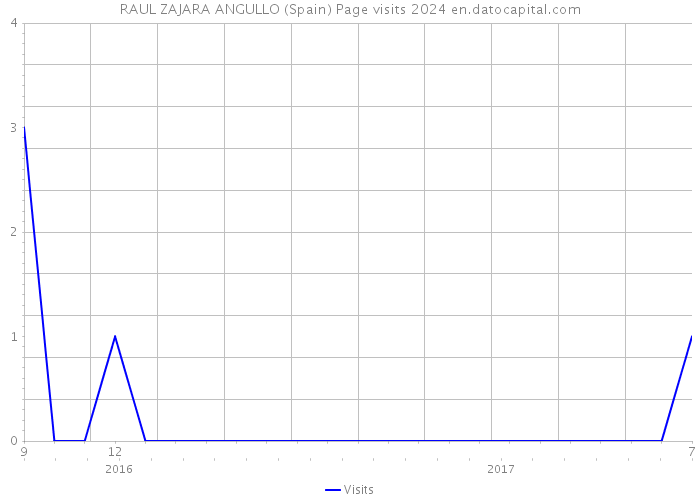 RAUL ZAJARA ANGULLO (Spain) Page visits 2024 