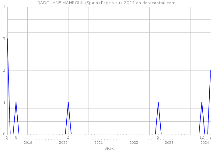 RADOUANE MAHROUK (Spain) Page visits 2024 