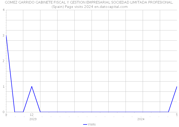 GOMEZ GARRIDO GABINETE FISCAL Y GESTION EMPRESARIAL SOCIEDAD LIMITADA PROFESIONAL. (Spain) Page visits 2024 
