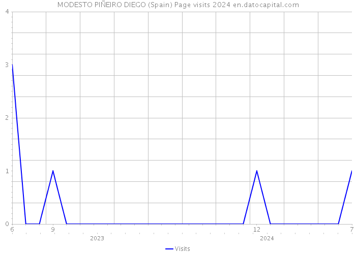 MODESTO PIÑEIRO DIEGO (Spain) Page visits 2024 