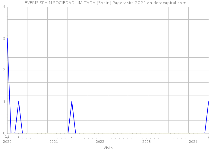 EVERIS SPAIN SOCIEDAD LIMITADA (Spain) Page visits 2024 