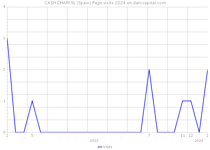 CASH CHARI SL (Spain) Page visits 2024 