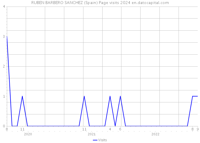 RUBEN BARBERO SANCHEZ (Spain) Page visits 2024 