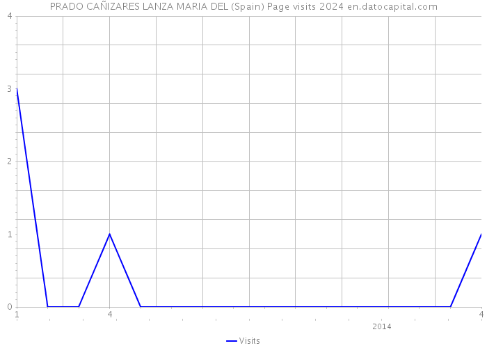 PRADO CAÑIZARES LANZA MARIA DEL (Spain) Page visits 2024 