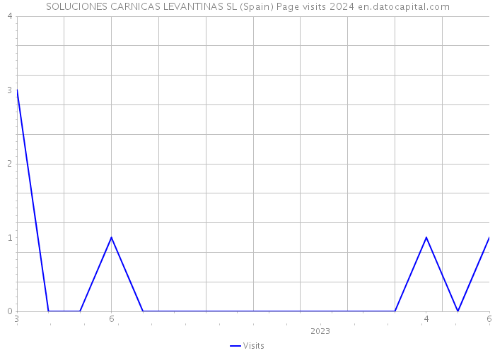 SOLUCIONES CARNICAS LEVANTINAS SL (Spain) Page visits 2024 