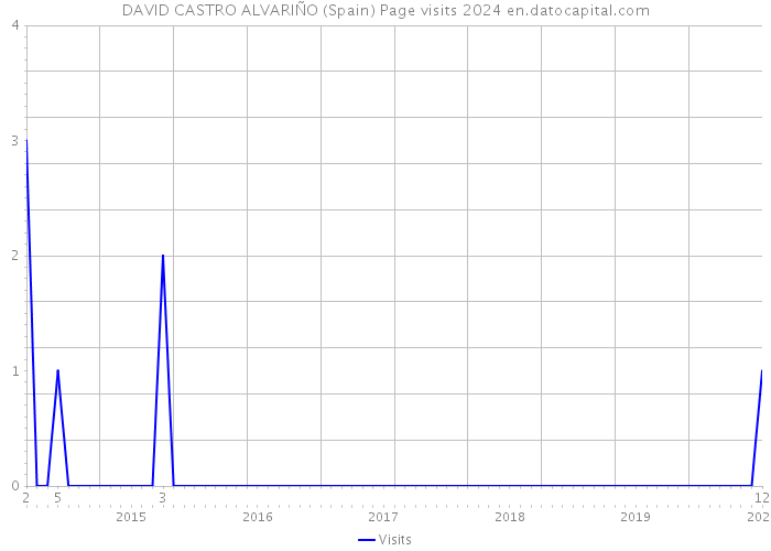 DAVID CASTRO ALVARIÑO (Spain) Page visits 2024 