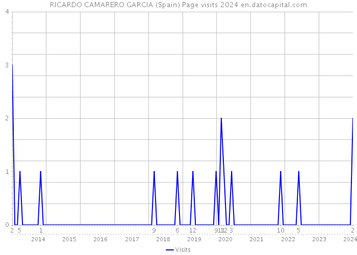 RICARDO CAMARERO GARCIA (Spain) Page visits 2024 