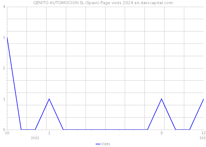 GENITO AUTOMOCION SL (Spain) Page visits 2024 