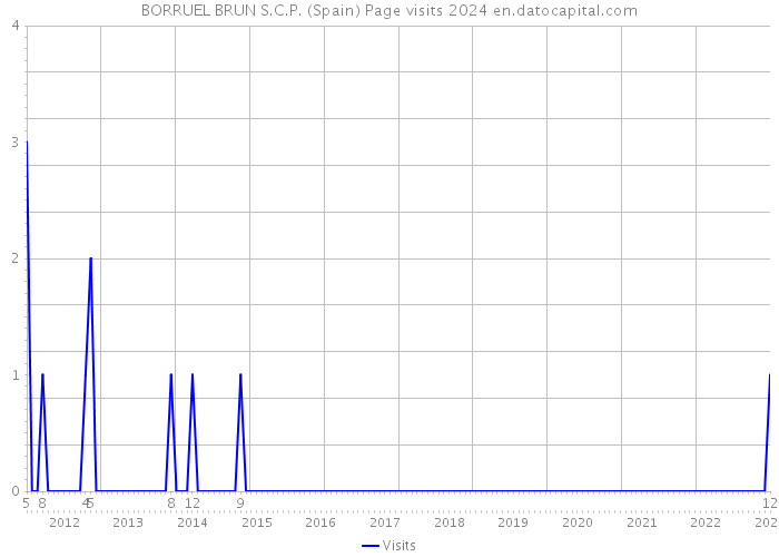 BORRUEL BRUN S.C.P. (Spain) Page visits 2024 