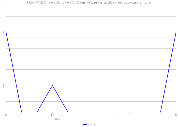 FERNANDO IRAEGUI BRAVO (Spain) Page visits 2024 