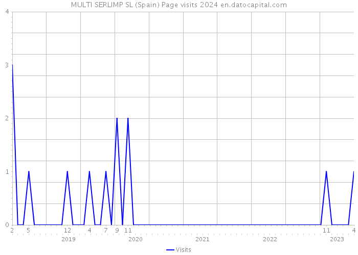 MULTI SERLIMP SL (Spain) Page visits 2024 