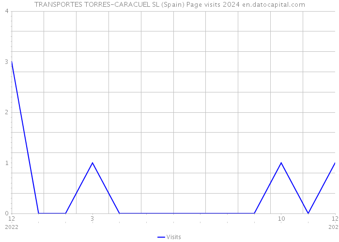 TRANSPORTES TORRES-CARACUEL SL (Spain) Page visits 2024 