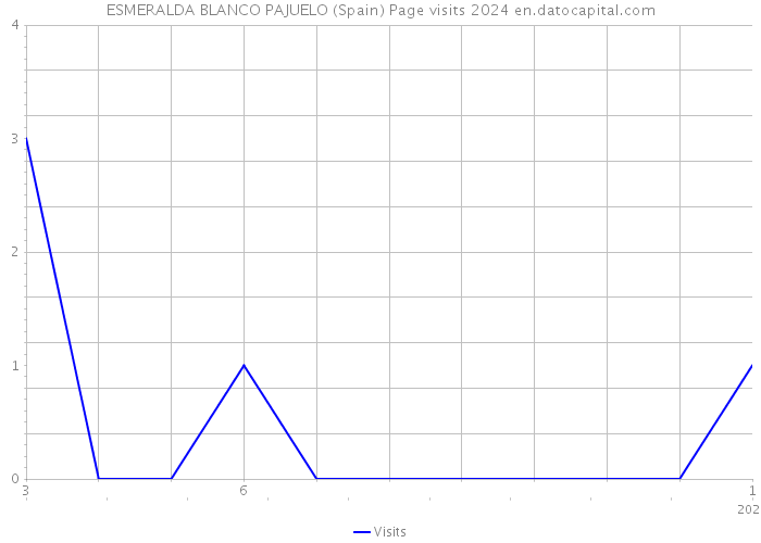 ESMERALDA BLANCO PAJUELO (Spain) Page visits 2024 