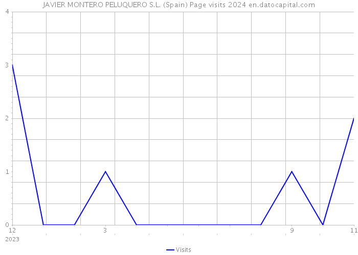 JAVIER MONTERO PELUQUERO S.L. (Spain) Page visits 2024 