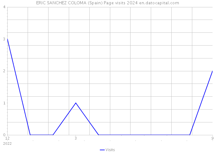 ERIC SANCHEZ COLOMA (Spain) Page visits 2024 