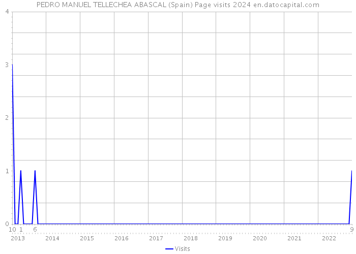 PEDRO MANUEL TELLECHEA ABASCAL (Spain) Page visits 2024 