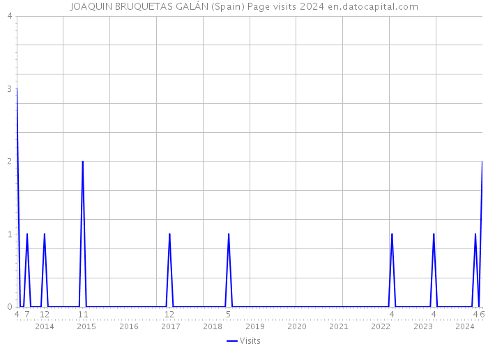 JOAQUIN BRUQUETAS GALÁN (Spain) Page visits 2024 