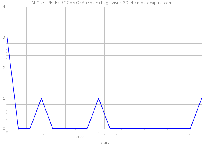 MIGUEL PEREZ ROCAMORA (Spain) Page visits 2024 