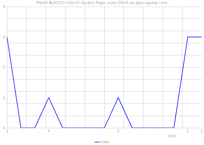 PILAR BLASCO CALVO (Spain) Page visits 2024 