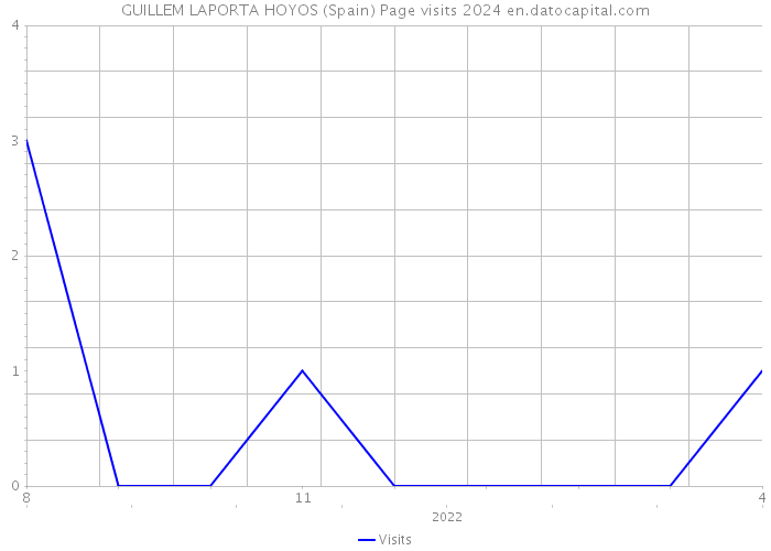 GUILLEM LAPORTA HOYOS (Spain) Page visits 2024 