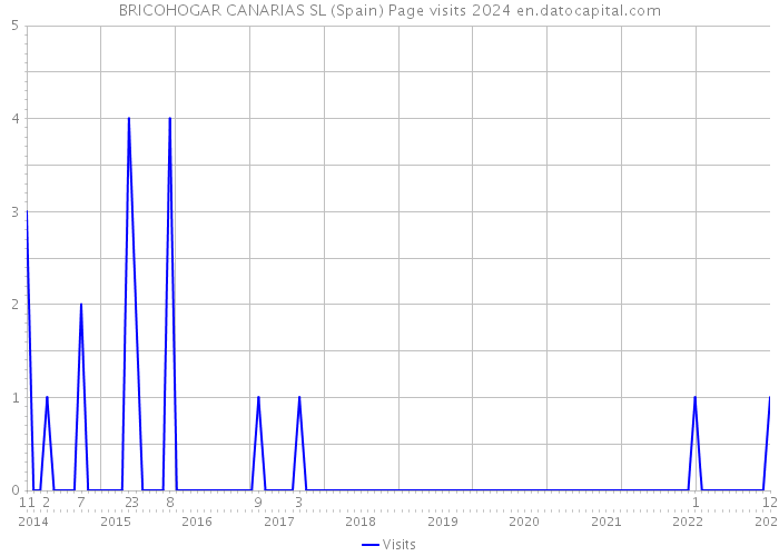 BRICOHOGAR CANARIAS SL (Spain) Page visits 2024 