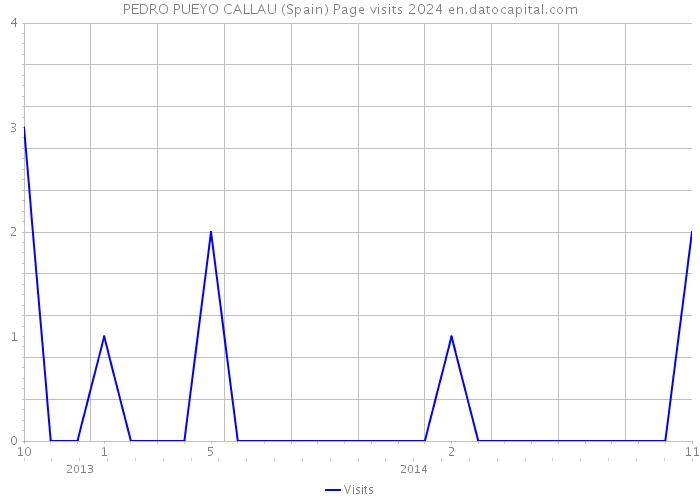 PEDRO PUEYO CALLAU (Spain) Page visits 2024 