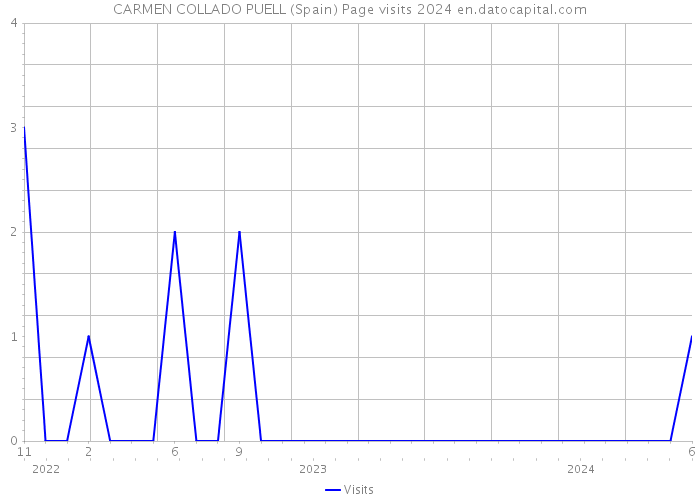 CARMEN COLLADO PUELL (Spain) Page visits 2024 