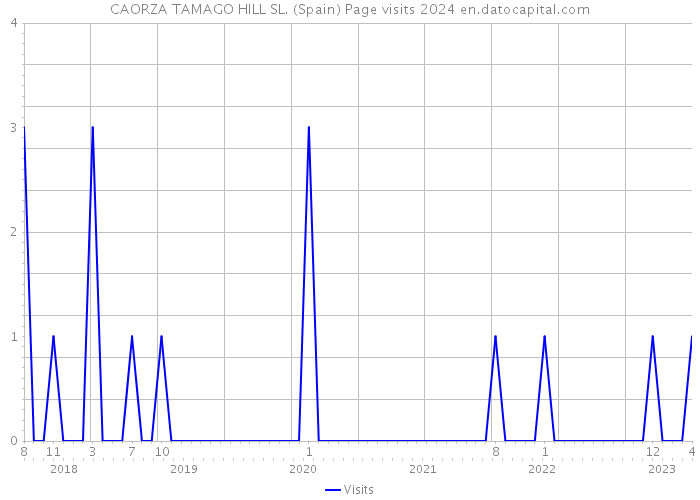 CAORZA TAMAGO HILL SL. (Spain) Page visits 2024 