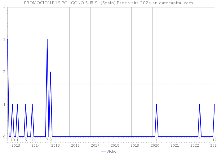 PROMOCION R19 POLIGONO SUR SL (Spain) Page visits 2024 