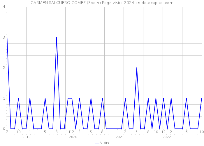 CARMEN SALGUERO GOMEZ (Spain) Page visits 2024 