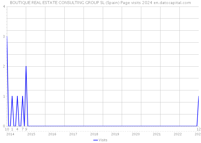 BOUTIQUE REAL ESTATE CONSULTING GROUP SL (Spain) Page visits 2024 