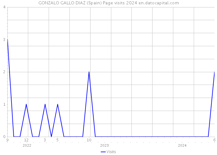 GONZALO GALLO DIAZ (Spain) Page visits 2024 
