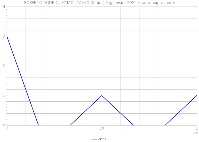 ROBERTO RODRIGUEZ MONTALVO (Spain) Page visits 2024 
