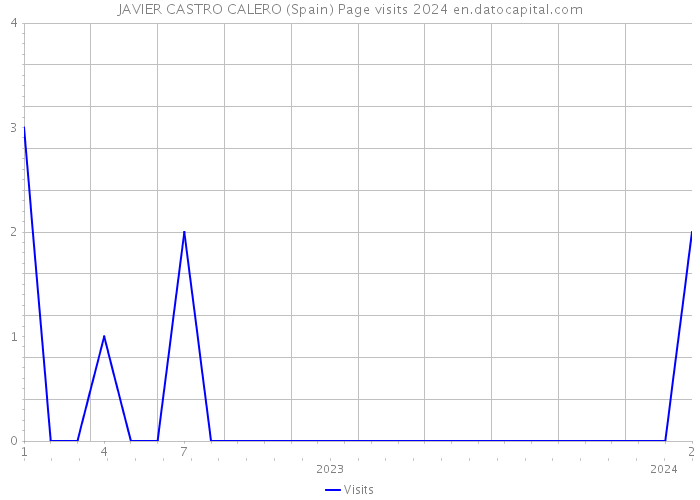 JAVIER CASTRO CALERO (Spain) Page visits 2024 