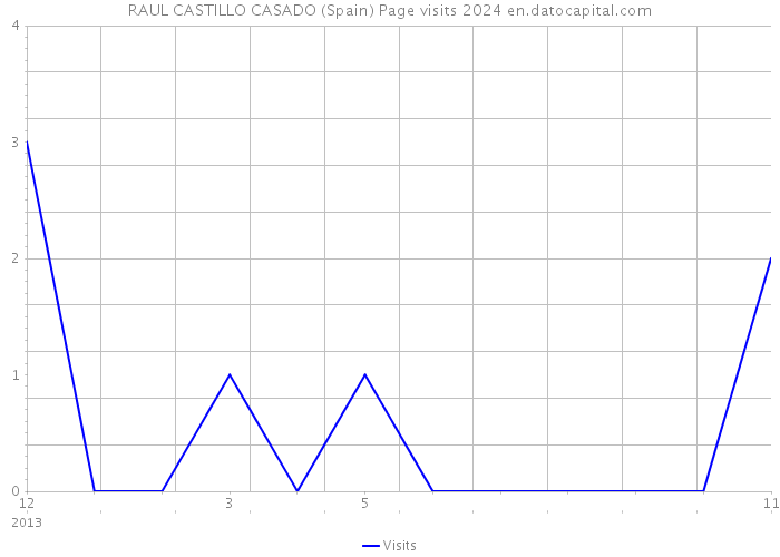 RAUL CASTILLO CASADO (Spain) Page visits 2024 