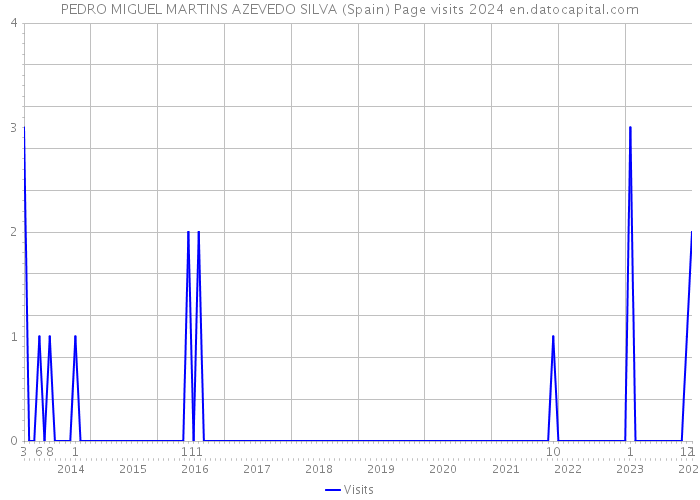 PEDRO MIGUEL MARTINS AZEVEDO SILVA (Spain) Page visits 2024 