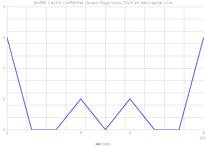 JAVIER CALVO CARMONA (Spain) Page visits 2024 