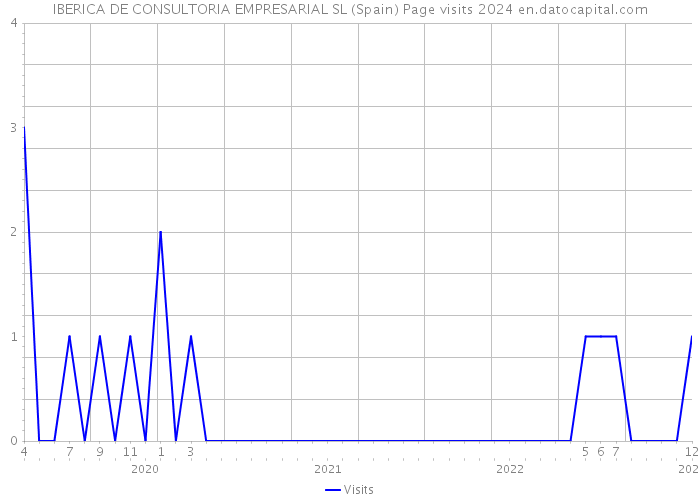 IBERICA DE CONSULTORIA EMPRESARIAL SL (Spain) Page visits 2024 