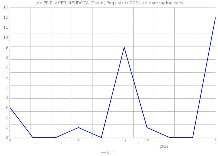 JAVIER PLACER MENDOZA (Spain) Page visits 2024 