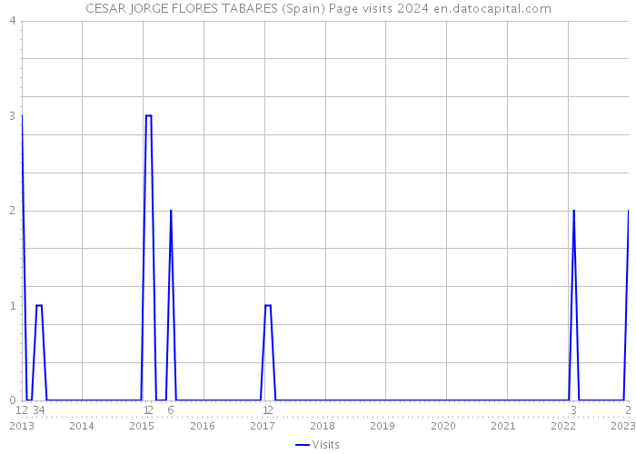 CESAR JORGE FLORES TABARES (Spain) Page visits 2024 