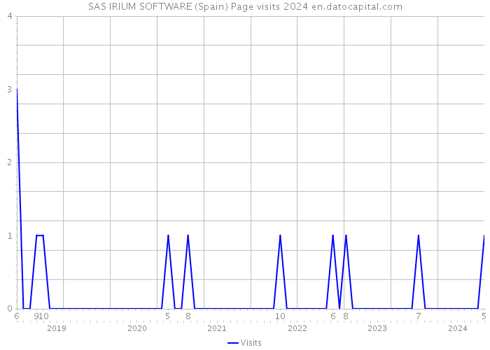 SAS IRIUM SOFTWARE (Spain) Page visits 2024 