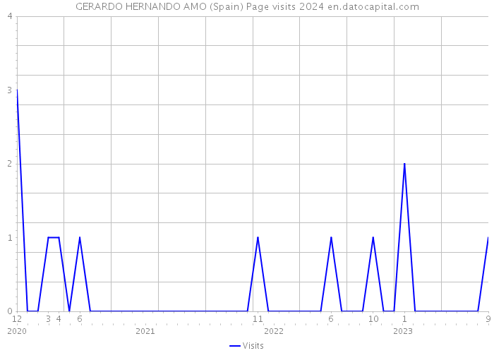 GERARDO HERNANDO AMO (Spain) Page visits 2024 