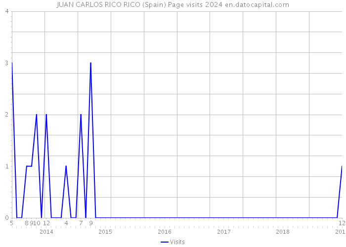 JUAN CARLOS RICO RICO (Spain) Page visits 2024 