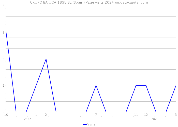 GRUPO BAIUCA 1998 SL (Spain) Page visits 2024 