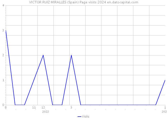 VICTOR RUIZ MIRALLES (Spain) Page visits 2024 