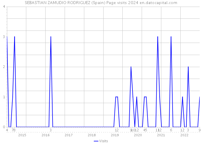 SEBASTIAN ZAMUDIO RODRIGUEZ (Spain) Page visits 2024 
