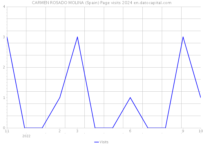 CARMEN ROSADO MOLINA (Spain) Page visits 2024 
