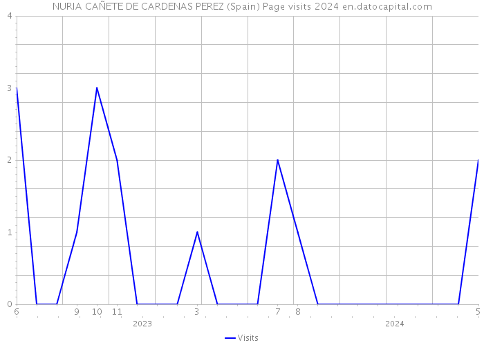 NURIA CAÑETE DE CARDENAS PEREZ (Spain) Page visits 2024 